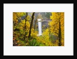 Fall colors add beauty to South South Silver Falls, Silver Falls State Park, Oregon by Anonymous