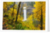 Fall colors add beauty to South South Silver Falls, Silver Falls State Park, Oregon by Anonymous