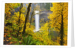 Fall colors add beauty to South South Silver Falls, Silver Falls State Park, Oregon by Anonymous