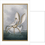 A Fairy Resting on a Shell by Amelia Jane Murray