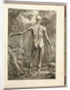 Engraving depicting the muscle groups of the back by Anonymous
