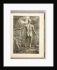 Engraving depicting the muscle groups of the back by Anonymous