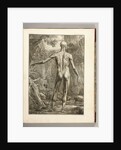 Engraving depicting the muscle groups of the back by Anonymous
