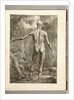 Engraving depicting the muscle groups of the back by Anonymous