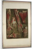 Group of dissected hands by Jacques Gautier D'Agoty and Joseph Guichard Duverney by Anonymous