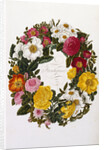 Frontispiece of Roses by Mary Lawrence