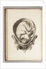 Engraving of a child in the womb by William Smellie