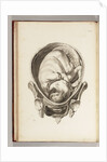 Engraving of a child in the womb by William Smellie