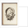 Engraving of a child in the womb by William Smellie