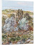 Springtime Vision by Frederick Childe Hassam
