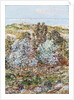Springtime Vision by Frederick Childe Hassam