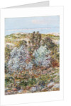 Springtime Vision by Frederick Childe Hassam