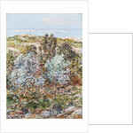 Springtime Vision by Frederick Childe Hassam