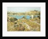 Dune Pool by Frederick Childe Hassam
