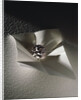 The Agra Diamond by Anonymous