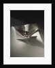 The Agra Diamond by Anonymous