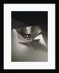 The Agra Diamond by Anonymous