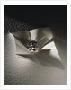 The Agra Diamond by Anonymous
