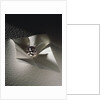 The Agra Diamond by Anonymous
