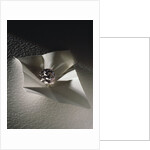 The Agra Diamond by Anonymous