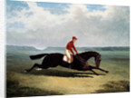 The Baron with Bumpy Up, at Newmarket by John Frederick Herring Sr.