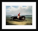 The Baron with Bumpy Up, at Newmarket by John Frederick Herring Sr.