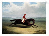 The Baron with Bumpy Up, at Newmarket by John Frederick Herring Sr.