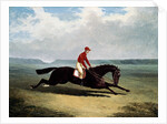 The Baron with Bumpy Up, at Newmarket by John Frederick Herring Sr.