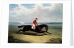 The Baron with Bumpy Up, at Newmarket by John Frederick Herring Sr.