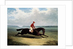 The Baron with Bumpy Up, at Newmarket by John Frederick Herring Sr.
