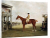 The Duke of Westminster's Filly 'Defiance' by Benjamin Marshall