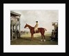 The Duke of Westminster's Filly 'Defiance' by Benjamin Marshall