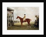 The Duke of Westminster's Filly 'Defiance' by Benjamin Marshall
