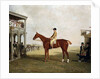 The Duke of Westminster's Filly 'Defiance' by Benjamin Marshall
