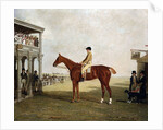 The Duke of Westminster's Filly 'Defiance' by Benjamin Marshall
