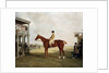 The Duke of Westminster's Filly 'Defiance' by Benjamin Marshall