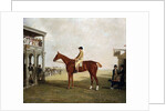 The Duke of Westminster's Filly 'Defiance' by Benjamin Marshall