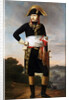 Portrait of Napoleon by Anonymous