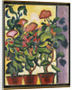 Geranium at the Window by Auguste Macke