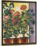 Geranium at the Window by Auguste Macke