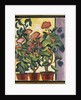 Geranium at the Window by Auguste Macke
