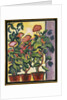 Geranium at the Window by Auguste Macke