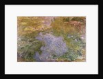 Waterlilies by Claude Monet