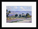 Haystacks by the Sea by Maximilien Luce
