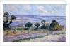 Haystacks by the Sea by Maximilien Luce