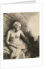 A Woman At The Bath With A Hat Beside Her by Rembrandt van Rijn