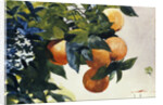 Oranges on a Branch by Winslow Homer