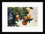 Oranges on a Branch by Winslow Homer