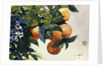Oranges on a Branch by Winslow Homer