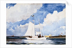Fishing Schooner, Nassau by Winslow Homer